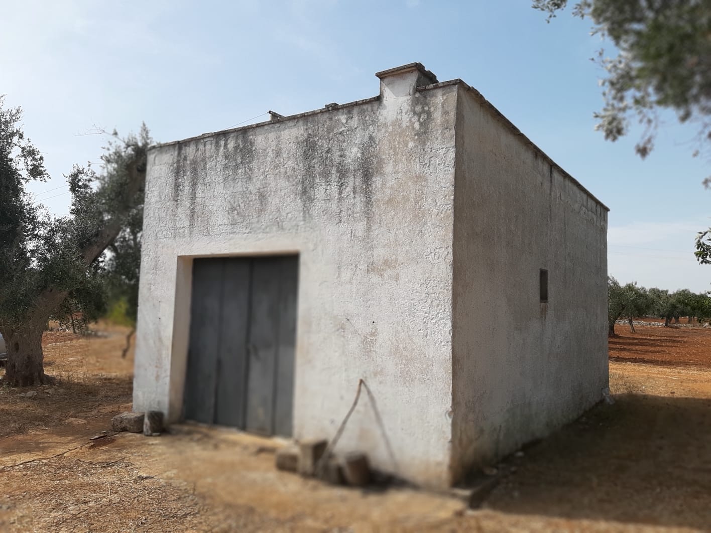 Bauernhaus in Carovigno zu verkaufen