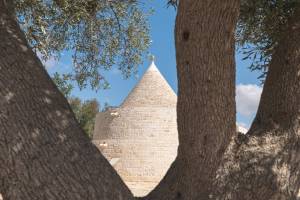 FRN_0059_0X7A0143_FILEminimizer_original_copy_2