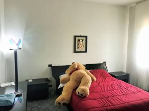 IMG_0080_2_FILEminimizer_original_copy_2