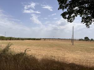 IMG_0336_FILEminimizer_original_copy_3