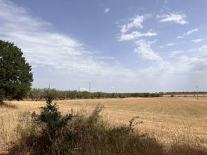 IMG_0337_FILEminimizer_original_copy_2