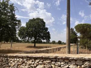 IMG_0339_FILEminimizer_original_copy_3