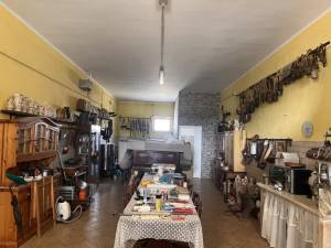 IMG_0348_FILEminimizer_original_copy_3