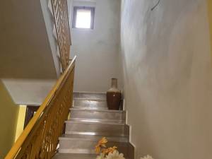 IMG_0370_FILEminimizer_original