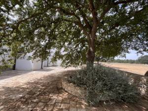 IMG_0384_FILEminimizer_original