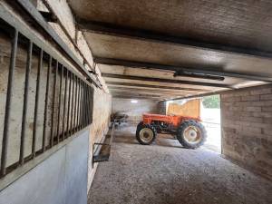 IMG_0394_FILEminimizer_original_copy_2