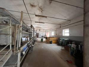 IMG_0395_FILEminimizer_original_copy_2