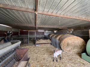 IMG_0396_FILEminimizer_original_copy_3