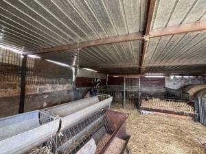 IMG_0397_FILEminimizer_original_copy_3