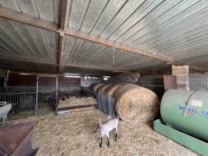 IMG_0398_FILEminimizer_original_copy_3