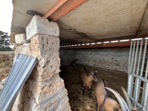 IMG_0400_FILEminimizer_original_copy_2