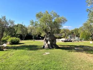 IMG_0701_FILEminimizer_2_original