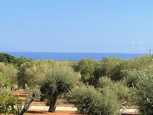 IMG_0708_FILEminimizer_2_original