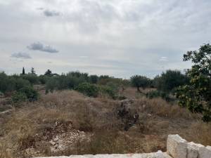 IMG_0752_FILEminimizer_original