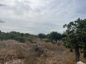 IMG_0754_FILEminimizer_original