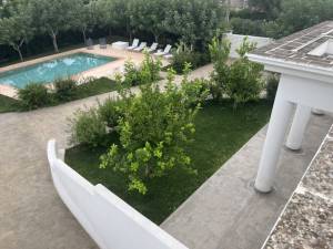 IMG_0793_FILEminimizer_original