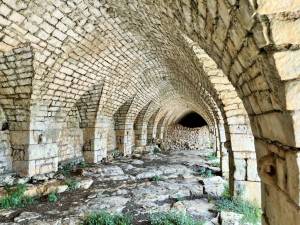 IMG_1210_FILEminimizer_2_original