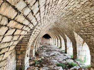 IMG_1211_FILEminimizer_2_original