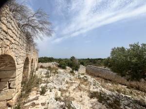 IMG_1216_FILEminimizer_original