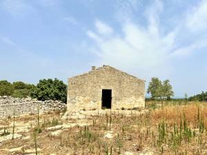 IMG_1218_FILEminimizer_2_original