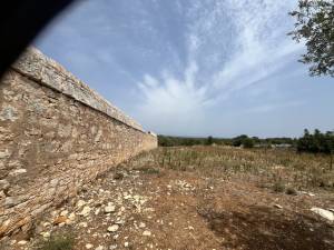 IMG_1228_FILEminimizer_original