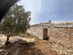 IMG_1229_FILEminimizer_original