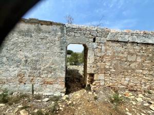 IMG_1230_FILEminimizer_2_original