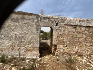 IMG_1230_FILEminimizer_original