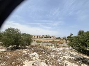 IMG_1231_FILEminimizer_original