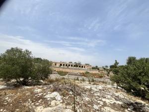 IMG_1232_FILEminimizer_original