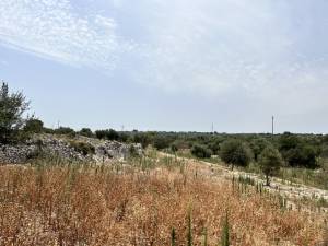 IMG_1236_FILEminimizer_original