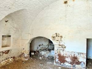 IMG_1238_FILEminimizer_2_original