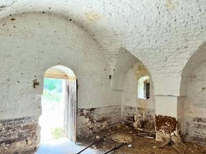 IMG_1239_FILEminimizer_2_original