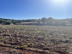 IMG_1410_FILEminimizer_original