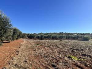 IMG_1411_FILEminimizer_original