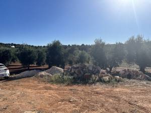 IMG_1414_FILEminimizer_original