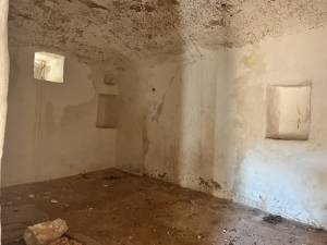 IMG_1417_FILEminimizer_original