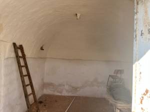 IMG_1419_FILEminimizer_original