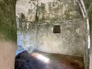 IMG_1421_FILEminimizer_original