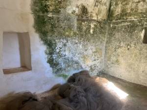 IMG_1422_FILEminimizer_original