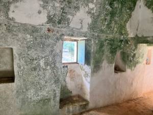 IMG_1423_FILEminimizer_original