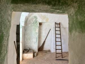 IMG_1424_FILEminimizer_original