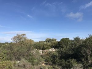 IMG_551320FILEminimizer