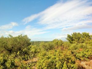 IMG_646720220FILEminimizer