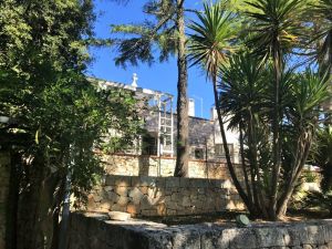 IMG_672320FILEminimizer202