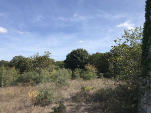 IMG_687120FILEminimizer