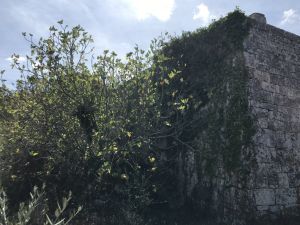 IMG_687220FILEminimizer
