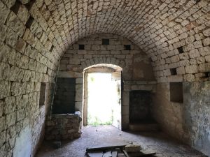 IMG_687420FILEminimizer