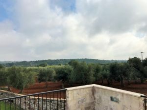 IMG_715120220FILEminimizer