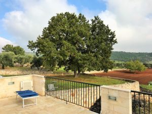 IMG_715220220FILEminimizer